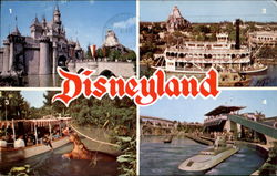 Disneyland Postcard