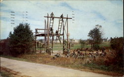 The Confidence Course Fort Dix Army Postcard Postcard