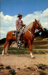 Texas Governor Allan Shivers Political Postcard Postcard