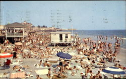 Enjoying Sand And Surf Postcard