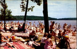 Picnic Grounds Poconos, PA Postcard Postcard