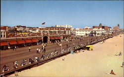 Section Of The Sun-Swept Bathing Beaches Postcard