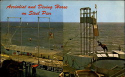 Aerialist And Diving Horse On Steel Pier Atlantic City, NJ Postcard Postcard