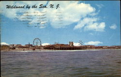 Marine Pier Wildwood-By-The-Sea, NJ Postcard Postcard