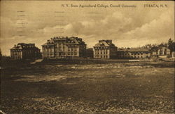 N. Y. State Agricultural College, Cornell University Postcard