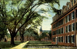 Yale Campus And Old South Middle New Haven, CT Postcard Postcard