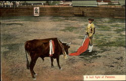 A Bull Fight At Panama Postcard Postcard