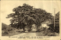 Gosier Road Guadeloupe Caribbean Islands Postcard Postcard