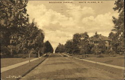 Ridgeview Avenue White Plains, NY Postcard Postcard