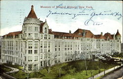 Museum Of Natural History New York, NY Postcard Postcard