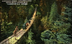 Suspension Bridge Vancouver, BC Canada British Columbia Postcard Postcard