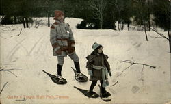 Out For A Tramp, High Park Postcard