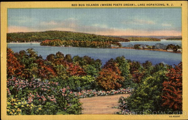 Bed Bug Islands Lake Hopatcong, NJ