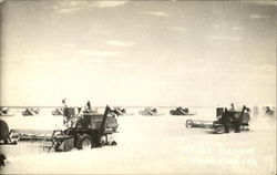 Wheat Harvest Postcard