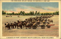 Horse Drawn Artillery Prepared For Inspection, U. S. Army Camp Columbia, SC Postcard Postcard