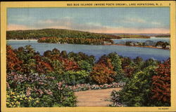 Bed Bug Islands Lake Hopatcong, NJ Postcard Postcard