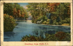 Greetings From Clio South Carolina Postcard Postcard