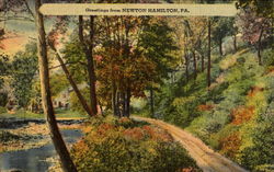 Greetings From Newton Hamilton Postcard