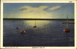 Conneaut Lake Scenic, PA Postcard Postcard