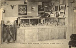 Reception Room, Wonderland Caverns Manns choice, PA Postcard Postcard