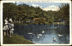 Feeding The Geese, Sunset Lake Asbury Park, NJ Postcard Postcard