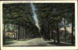 Looking Out Locust Street Lockport, NY Postcard Postcard