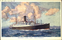 Anchor Line T. S. S. California Postcard