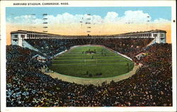 Harvard Stadium Postcard