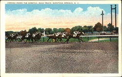 Coming Down The Stretch, Rack Track Saratoga Springs, NY Postcard Postcard