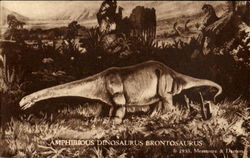 Amphibious Dinosaurus Brontosaurus Triassic Period Postcard