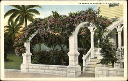 An Arbor Of Bouganvillea Flowers Postcard Postcard