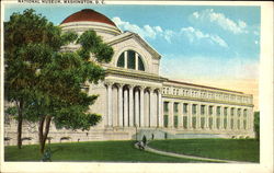 National Museum Postcard