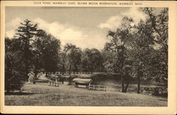 Duck Pond Waverley Oaks Postcard