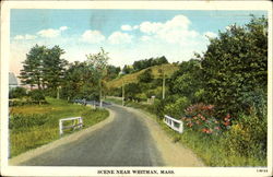 Scene Near Whitman Postcard