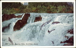 Salmon Leaping Falls Postcard