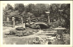 Japanese Garden Postcard