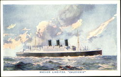 Anchor Line T. S. S. Caledonia Boats, Ships Postcard Postcard