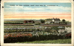 Number Ten Trial Gardens Shenandoah, IA Postcard Postcard