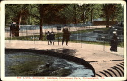 Sea Lions, Zoological Gardens Fairmount Park Philadelphia, PA Postcard Postcard