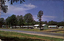 Circle Drive Motel Postcard