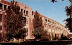 State Fair Grounds Postcard