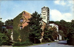 Jack Daniel's Hollow Lynchburg, TN Postcard Postcard