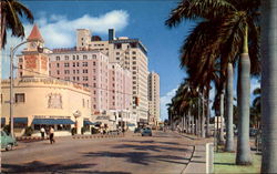 Beautiful Biscayne Blvd Miami, FL Postcard Postcard