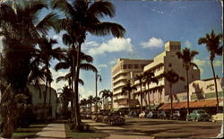 Fashionable Palm Studded Lincoln Road Miami, FL Postcard Postcard