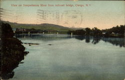 View On Susquehanna River From Railroad Bridge Owego, NY Postcard Postcard