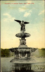 Fountain In Central Park Postcard