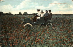 Aitalfa Field Caldwell, KS Postcard Postcard