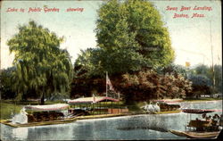 Lake In Public Garden Showing Swan Boat Landing Postcard