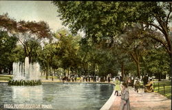 Frog Pond Boston, MA Postcard Postcard