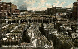 Cotton Scene On Popular Street Postcard